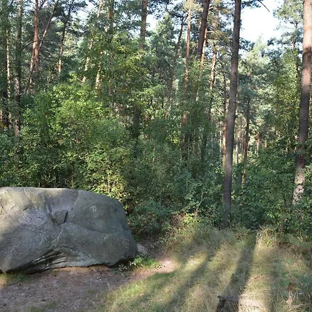 Ferienhaus In Unberuehrter Natur Mit Zwei Schlafzimmern Heideblick