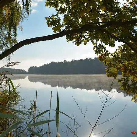 Ferienhaus In Unberuehrter Natur Mit Zwei Schlafzimmern Heideblick