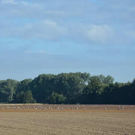 Ferienhaus In Unberuehrter Natur Mit Zwei Schlafzimmern * Heideblick